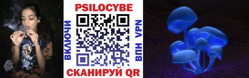 купить   Аксай  Галлюциногенные грибы Magic Shrooms 