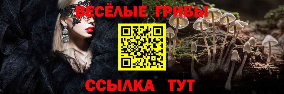 Галлюциногенные грибы Psilocybe  Вход с VPN  Галлюциногенные грибы Psilocybe  Аксай 