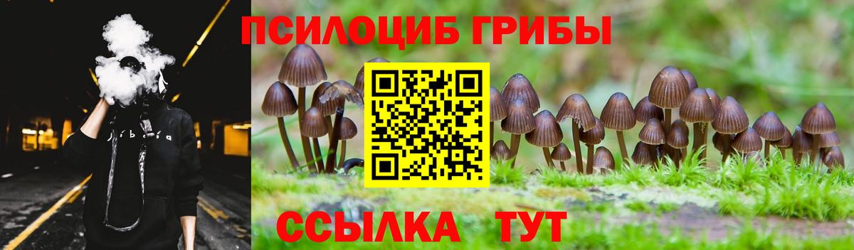 Галлюциногенные грибы прущие грибы Аксай